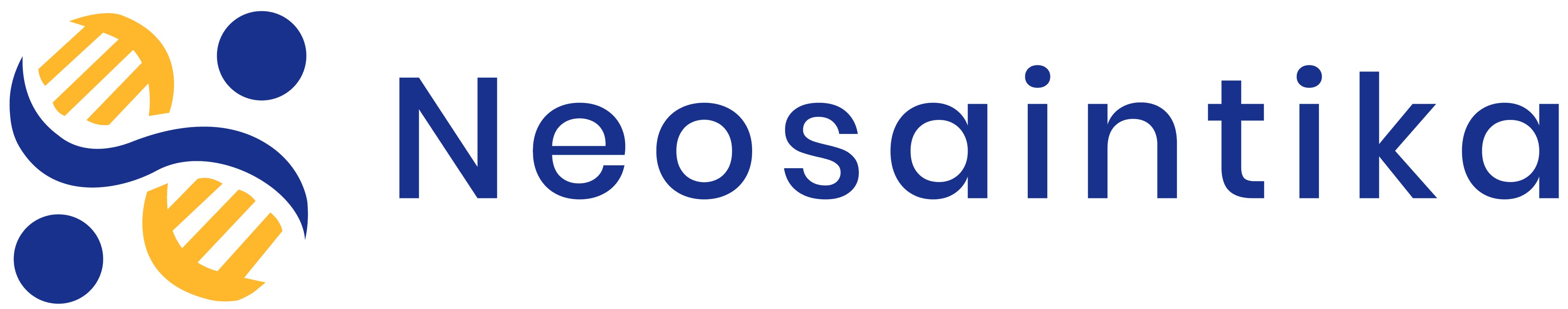 neosaintika brand